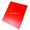 Tấm nhựa PP Danpla màu đỏ ( KT : 2440 x 1220 x 2 đến 8 mm ) - anh 1