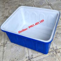 Thùng nhựa chữ nhật trồng rau nuôi cá 200 lít